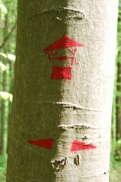 Baummarkierung des Stiegs